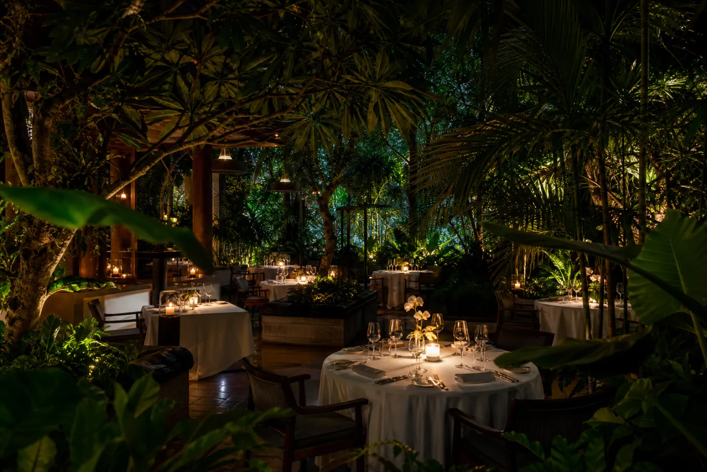 Gedeckte Tische bei Kerzenlicht unter dem Blätterdach im WESH Restaurant